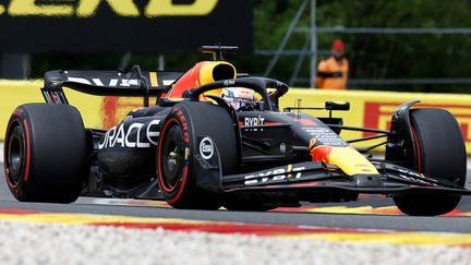 Max Verstappen (Red Bull) lors du Grand Prix de Belgique de Formule 1 sur le circuit de Spa-Francorchamps, le 30 juillet 2023 (KENZO TRIBOUILLARD / AFP)