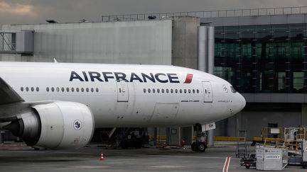 Un avion de la compagnie Air France photographi&eacute; le 30 avril 2014 &agrave; l'a&eacute;roport Roissy-Charles-de-Gaulle (Val-d'Oise). (  MAXPPP)