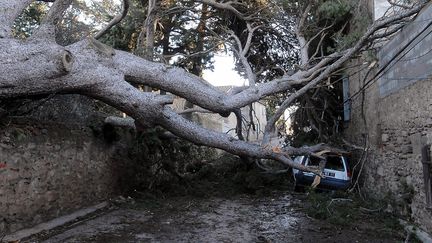 Le village d'Aigues-Vives (Gironde), le 26 janvier 2009, apr&egrave;s le passage d'une temp&ecirc;te. (  MAXPPP)