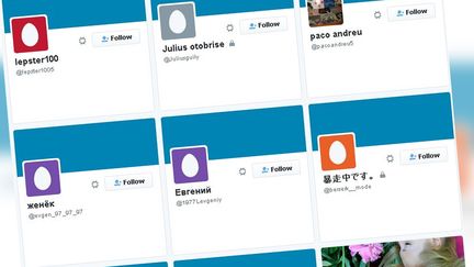 Comptes Twitter. (CAPTURE D'ÉCRAN)