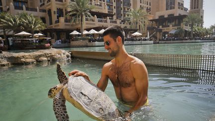 Le champion de tennis serbe Novak Djokovic pose avec une tortue en marge de l'open de Duba&iuml; (Emirats arables unis), le 24 f&eacute;vrier 2013. (AFP)