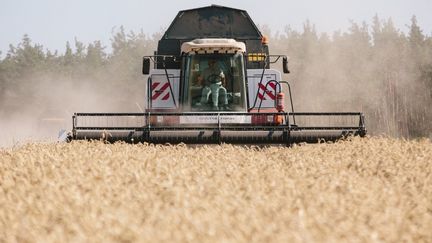 Moissonneuse-batteuse dans les champs du district de Novovodolazhsky dans la région de Kharkiv, en Ukraine, le 25 juillet 2017. (PAVLO PAKHOMENKO / NURPHOTO)