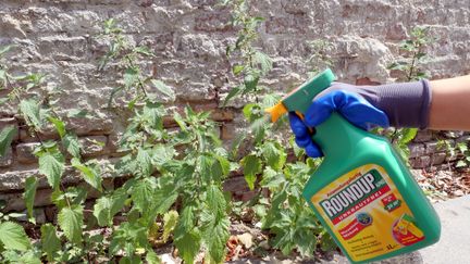 L'herbicide Roundup.&nbsp; (XAMAX / DPA / AFP)