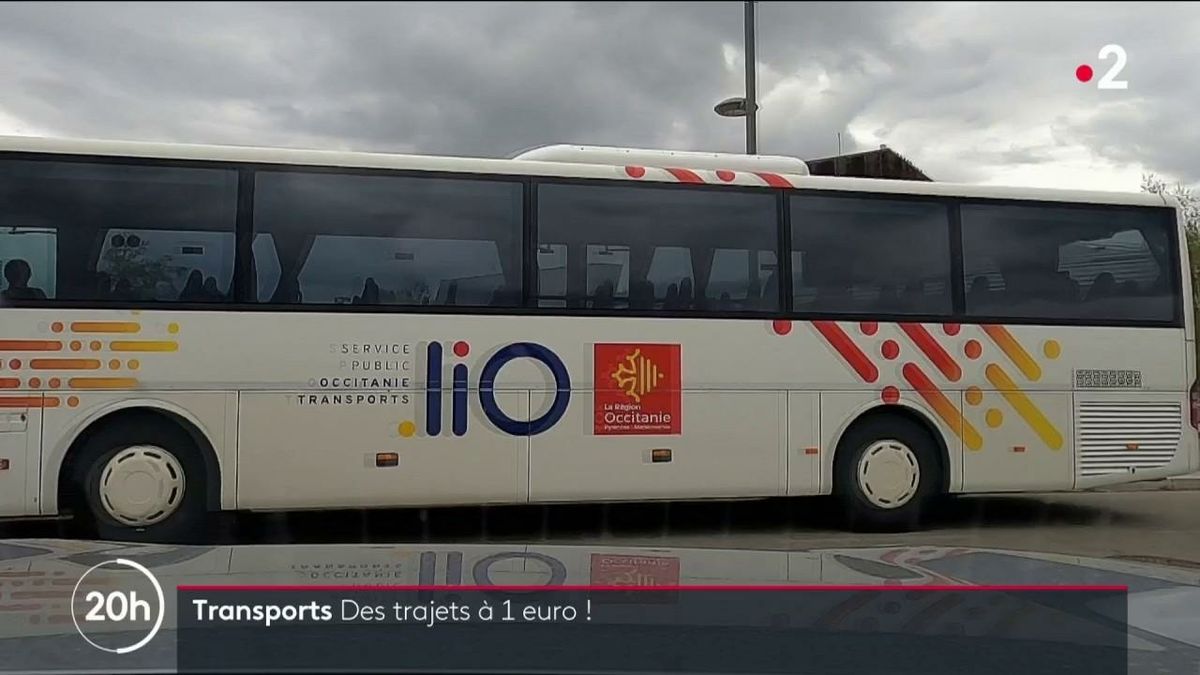 Trouver Buses Predecoupees Pour Berlingot France