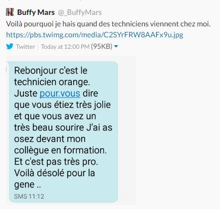Capture d'écran du tweet de @_BuffyMars posté le 16 janvier 2017. (BUFFYMARS)