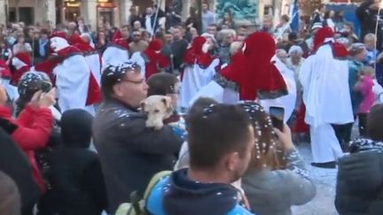 Le carnaval de Limoux, dans l'Aude. (CAPTURE D'ÉCRAN FRANCE 3)