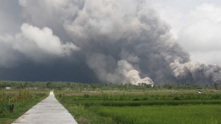 Le volcan Semeru en éruption, le 4 décembre 2022, à Lumajang (Indonésie). (AGUS HARIANTO / AFP)