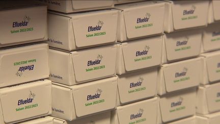 La campagne pour se faire vacciner contre la grippe débute mardi 18 octobre. Les personnes à risque peuvent se rendre en pharmacie pour recevoir une dose.&nbsp; (CAPTURE ECRAN FRANCE 3)