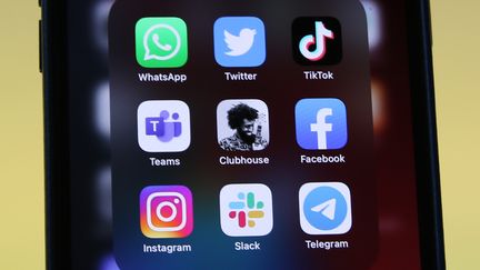 Illustration&nbsp;des applications de réseaux sociaux sur un smartphone. (CHRISTOPH DERNBACH / DPA)