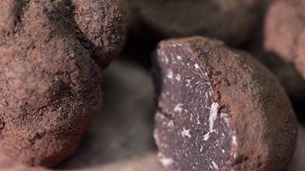 Truffe : l’or noir venu de Provence (France 2)