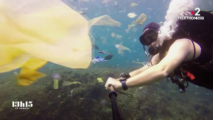 VIDEO. "Dans l'assiette du poisson en Méditerranée, il y a moitié de plastique et moitié de zooplancton", selon un biologiste