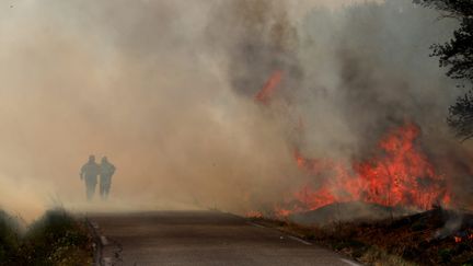 Des pompiers luttent contre un incendie près de&nbsp;Saint-Mitre-Les Remparts (Bouches-du-Rhône), le 24 août 2020. (MAXPPP)