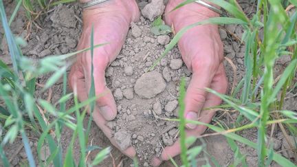 Purity of the earth and purity of the territory combine in the notion of eco-bordering.  Illustrative photo (PATRICK PLEUL / DPA)