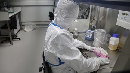 Un scientifique analyse des prélèvements de patients au Centre national de référence pour les virus respiratoires de l'Institut Pasteur, le 28 janvier 2020. (THOMAS SAMSON / AFP)