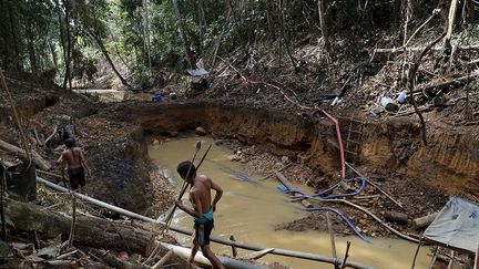 le gouvernement vénézuélien a lancé le «Plan Caura» pour éradiquer l'exploitation minière artisanale dans la région. Et en 2011, les Yanomamis ont créé leur propre organisation, Horonami, afin de défendre leurs droits. Mais ils se heurtent au gouvernement brésilien qui penche actuellement sur des lois permettant d’élargir les zones d’exploitation minière. Depuis 2012, le Brésil veut diversifier ses réserves étrangères et doublé ses réserves en or (33 tonnes en 2012, 67 en 2014). Le secteur minier aurifère emploie 200.000 personnes au Brésil.  (REUTERS/Bruno Kelly)