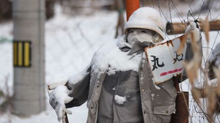 Japon : un village dépeuplé où les poupées ont remplacé les humains