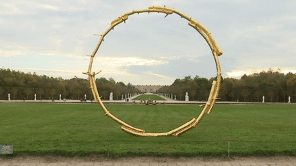 L'une des oeuvres exposée dans les jardins de Versailles
 (France 3 Culturebox capture d&#039;écran)