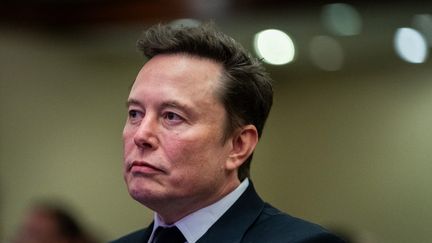 Elon Musk lors d'un rassemblement du Parti républicain à Washington, aux Etats-Unis, le 13 novembre 2024. (GETTY IMAGES NORTH AMERICA / AFP)