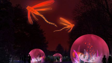 "Un jardin d'hiver" au parc de la Tête d'or, conception Christophe Martine. Fête des Lumières de Lyon 2014
 (FDLM 2014)