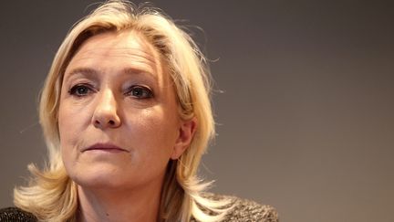 Marine Le Pen, le 17 f&eacute;vrier 2014, &agrave; Reims (Marne).&nbsp; (FRANCOIS NASCIMBENI / AFP)