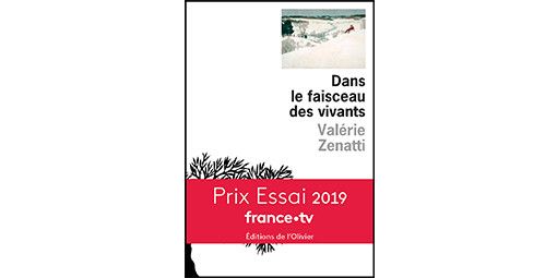 Première de couverture du livre "Dans le faisceau des vivants" de Valérie Zenatti. 
 (Editions de l&#039;Olivier)