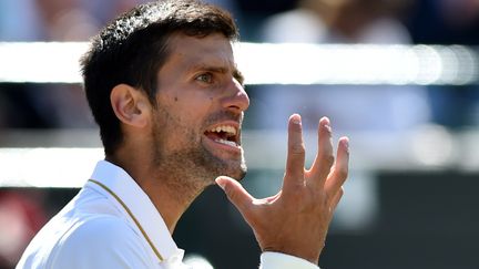 Novak Djokovic frustré