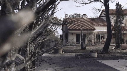 Incendies dans les Pyrénées-Orientales : les habitants sont désemparés (France 2)