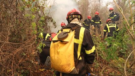 Pompiers français déployés pour lutter contre les feux de la foêt amazonienne en Bolivie, en septembre 2019. (JONATHAN SARAGO / MINISTERE DES AFFAIRES ETRANGERES / AFP)