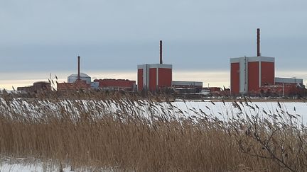 L'EPR OL 3 (à gauche) et les deux autres réacteurs OL 2 et OL 1, sur l'île&nbsp;d’Olkiluoto en Finlande. (VALENTIN DUNATE / RADIO FRANCE)