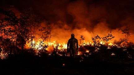 Un pompier intervient sur le gigantesque incendie de Landiras, en Gironde, le 17 juillet 2022. (THIBAUD MORITZ / AFP)