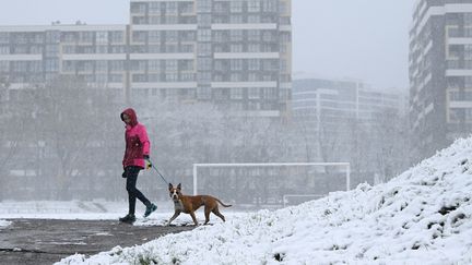 Une personne promène un chien lors des premières chutes de neige dans la ville de Lviv, dans l'ouest de l'Ukraine, le 17 novembre 2022. (YURIY DYACHYSHYN / AFP)