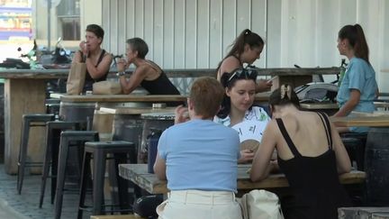 Canicule : les Français trouvent refuge dans les musées ou dans les parcs (France 3)