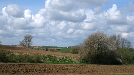 De nombreux Français&nbsp;pourraient s'installer à la campagne si&nbsp;les territoires&nbsp;étaient mieux fournis en équipements numériques, selon l'association Familles rurales (illustration). (MICHEL HOUET / MAXPPP)