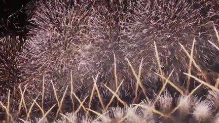 Annecy, en Haute-Savoie, a accueilli le public pour son traditionnel rendez-vous festif annuel autour du lac, samedi 6 août. 200 000 personnes ont assisté au feu d'artifice. Entre tradition et modernité, le spectacle a tenu toutes ses promesses. (FRANCE 3)