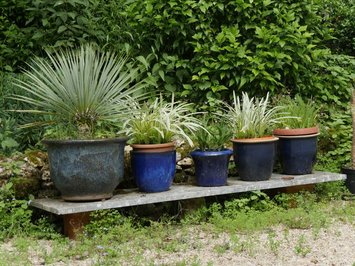 Plantes en pot au Jardin de la Parmelie (Seine-et-Marne).&nbsp; (ISABELLE MORAND / RADIO FRANCE / FRANCE INFO)