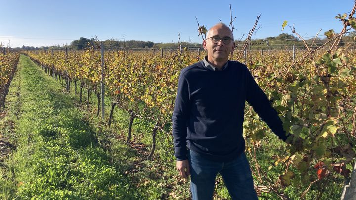 Le viticulteur Stéphane Gabart à Galgon en Gironde. (EDOUARD MARGUIER / RADIO FRANCE)