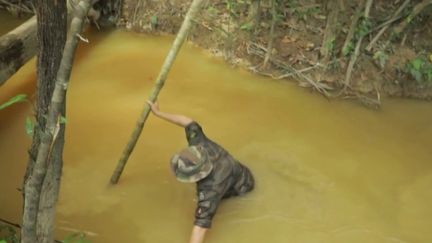 Guyane : la lutte sans fin contre les orpailleurs