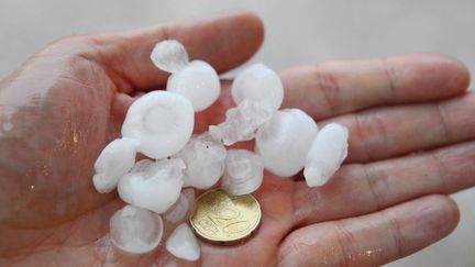 &nbsp; (Des orages de grêle se sont abattus sur plusieurs grands vignobles bourguignons. © PHOTOPQR/L'ALSACE/Jean-Frederic Surdey)