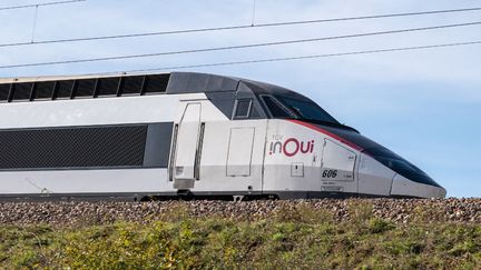 Un TGV Inoui de la SNCF lors d'un trajet entre Paris et Lyon au niveau de la ville d'Igornay (Saône-et-Loire), le 2 novembre 2022. (STEPHANE MOUCHMOUCHE / HANS LUCAS / AFP)