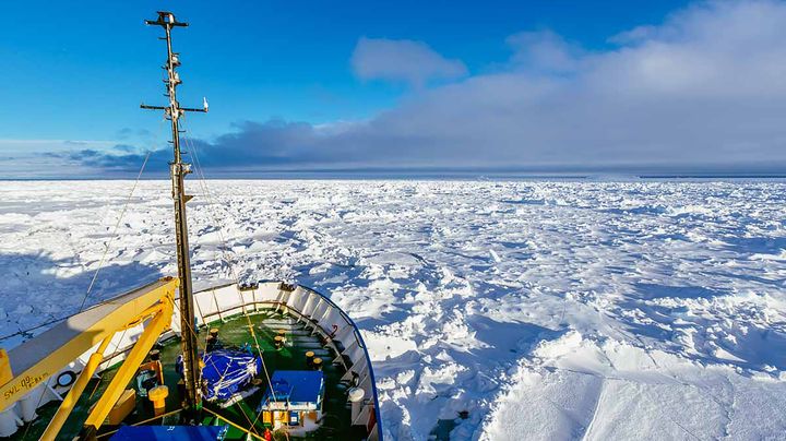 Une photo prise depuis le&nbsp;navire russe "MV Akademik Chokalsky", le 27 d&eacute;cembre 2013. (ANDREW PEACOCK / FOOTLOOSEFOTOGRAPHY.COM / AFP)