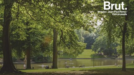 Au Sud de la capitale belge, ce parc de 123 hectares attire de nombreux promeneurs.