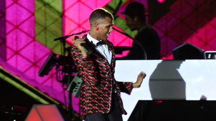 Stromae en concert à Dakar, le 13 mai 2015
 (Seyllou / AFP)