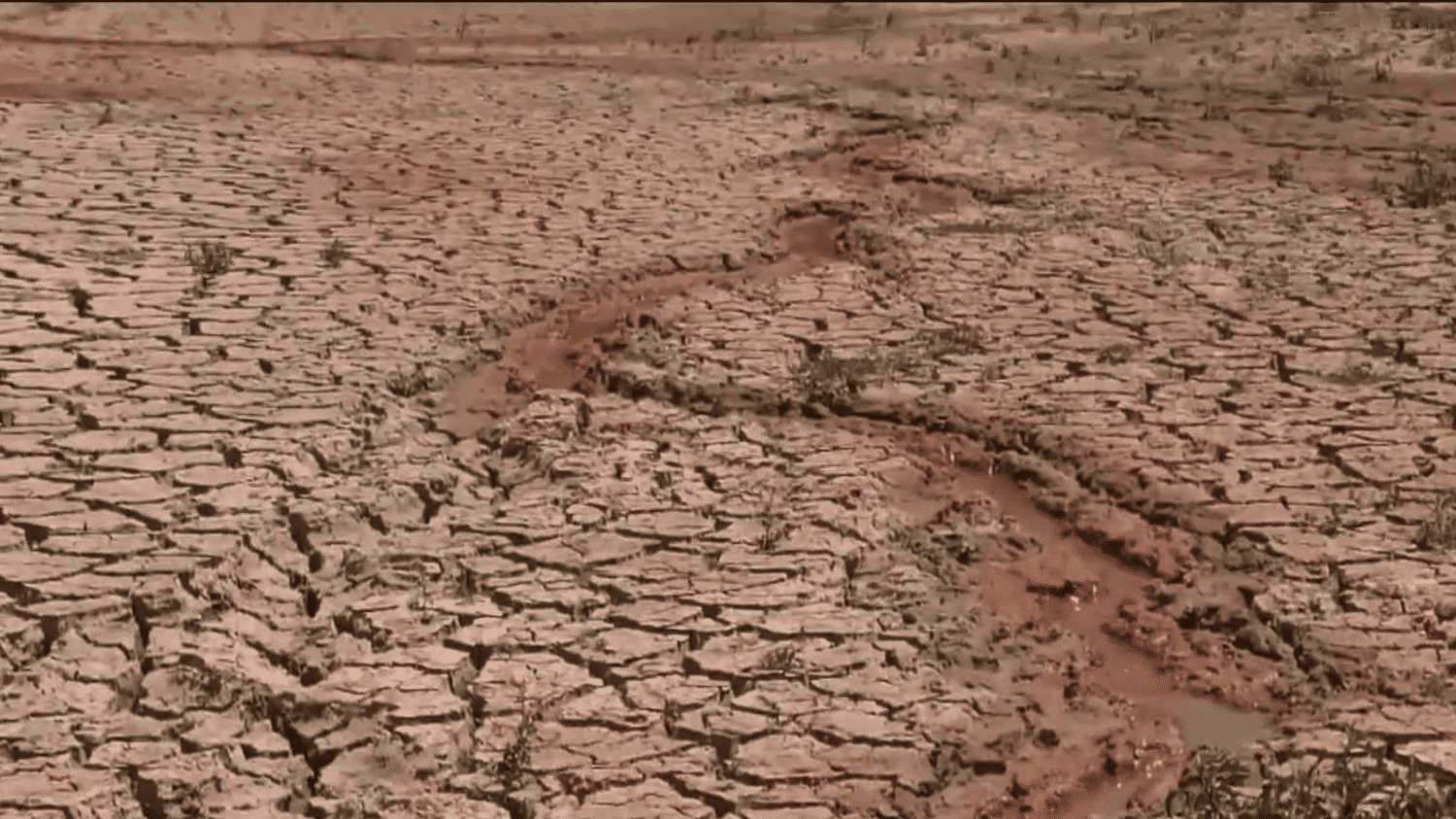 Jour du dépassement : l’humanité a utilisé toutes ses ressources naturelles plus tôt que prévu