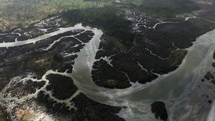 Les deux ONG d&eacute;noncent aussi la pollution du sol li&eacute;e &agrave; l'exploitation du p&eacute;trole dans le delta du Niger, au Nigeria. (PIUS UTOMI EKPEI / AFP)