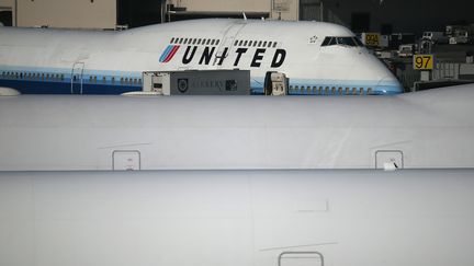 Un avion de la United Airlines &agrave; l'a&eacute;roport de San Francisco (Etats-Unis), le 23 janvier 2014. (JUSTIN SULLIVAN / GETTY IMAGES NORTH AMERICA / AFP)