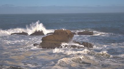 D'après les scientifiques, les mouvements provoqués par les vagues aurait déclenché la formation de nos tubes digestifs. (MORGANE HEUCLIN-REFFAIT / RADIO FRANCE)