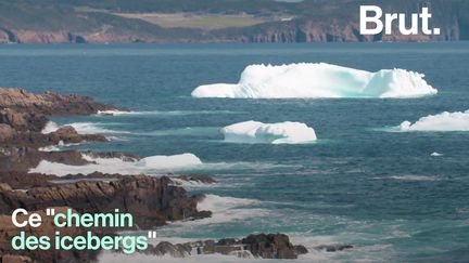 Au large du Canada, des centaines de géants de glace dérivent le long des côtes en direction du sud. C'est le "chemin des icebergs".