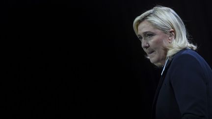 La candidate du Rassemblement national Marine Le Pen lors du meeting d'Arras (Pas-de-Calais), le 21 avril 2022. (FRANCOIS PAULETTO / HANS LUCAS / AFP)