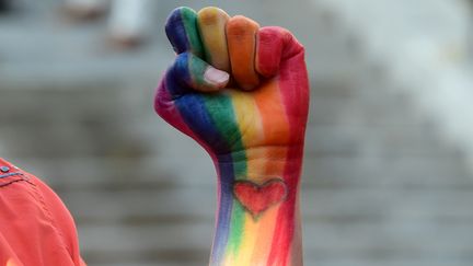 Poing aux couleurs du "Rainbow flag", symbole homosexuel. (FREDERIC J. BROWN / AFP)