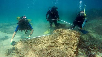 L'équipe archéologique tuniso-italienne à l'œuvre au large de Nabeul (Tunisie) le 13 juillet 2017. (AFP - Institut national du Patrimoine (INP) - University of Sassari)